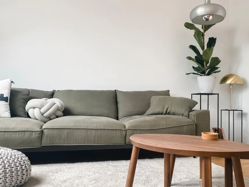 Soft white shag area rug in a minimal living room with an olive green sofa and brown coffee table