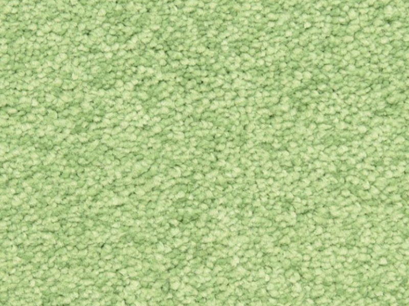 Light green carpet swatch