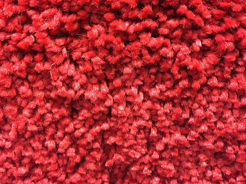 Red shag carpet